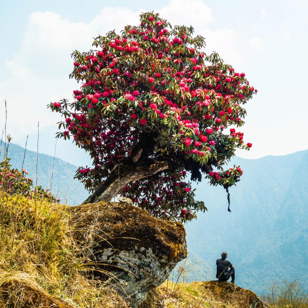 k7Survival_Sikkim_Bild_08_1280x1280